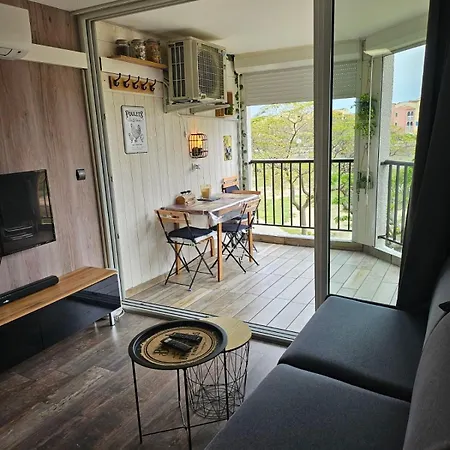 Lejlighed With Wifi, Air Conditioning And Pool Le Barcarès